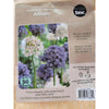 Tasc - Assortiments de bulbs de fleurs