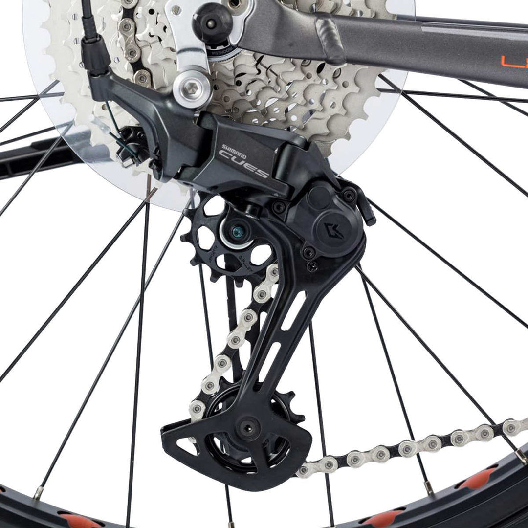 Northwork  - 26 in Fat Tire Bike / 10 Speeds
