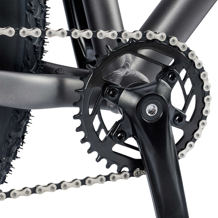 Northwork  - 26 in Fat Tire Bike / 10 Speeds