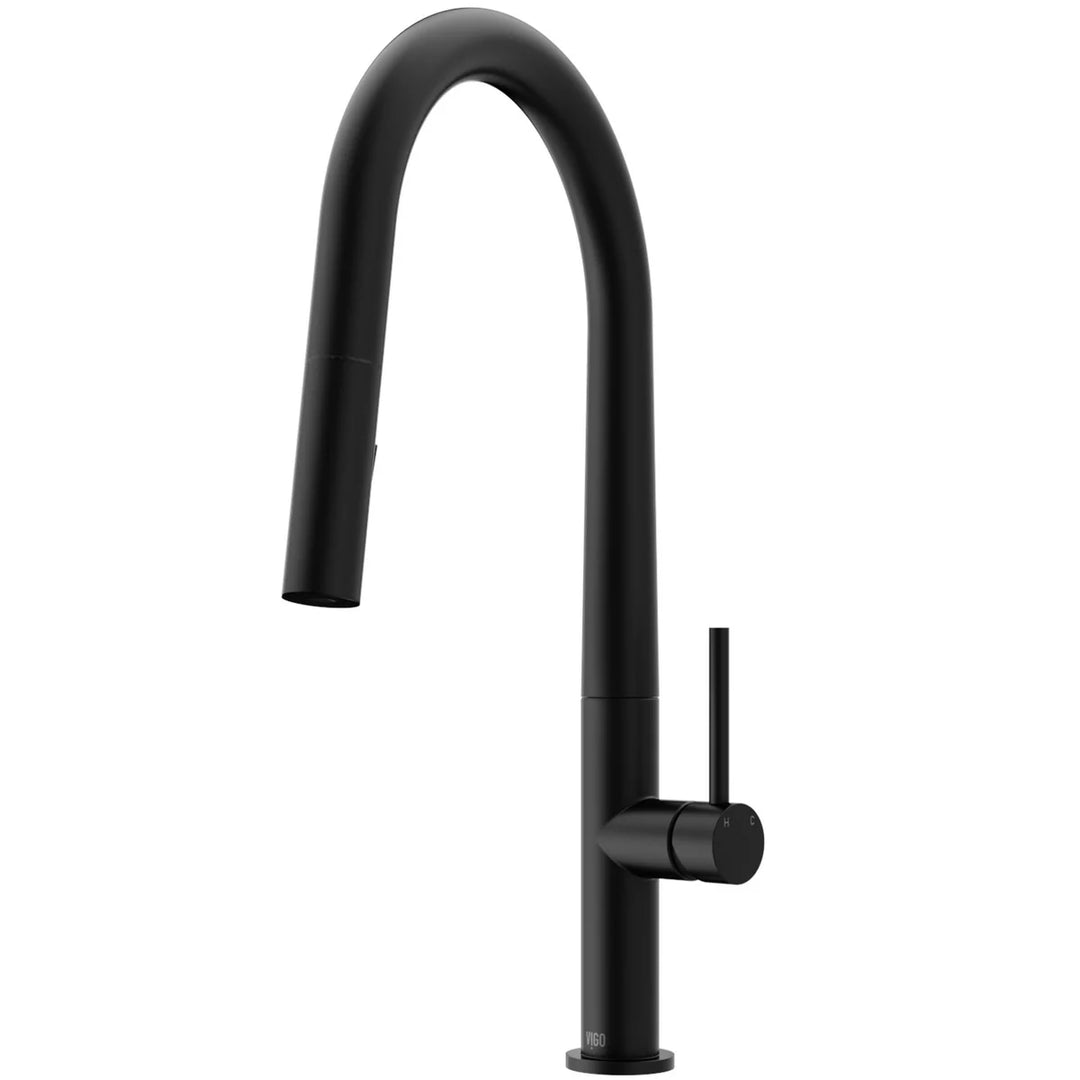 Vigo Single Handle Pull-Down Sprayer