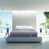Springwall - Green Hybrid Chiropractic Mattress, 35.5 cm (14 in)