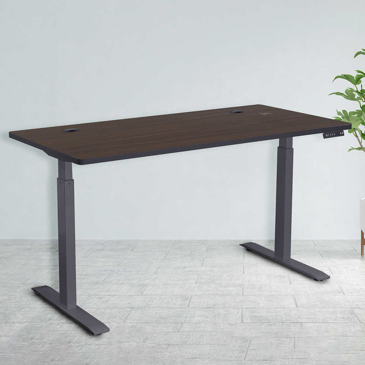 Motionwise Height Adjustable Desk