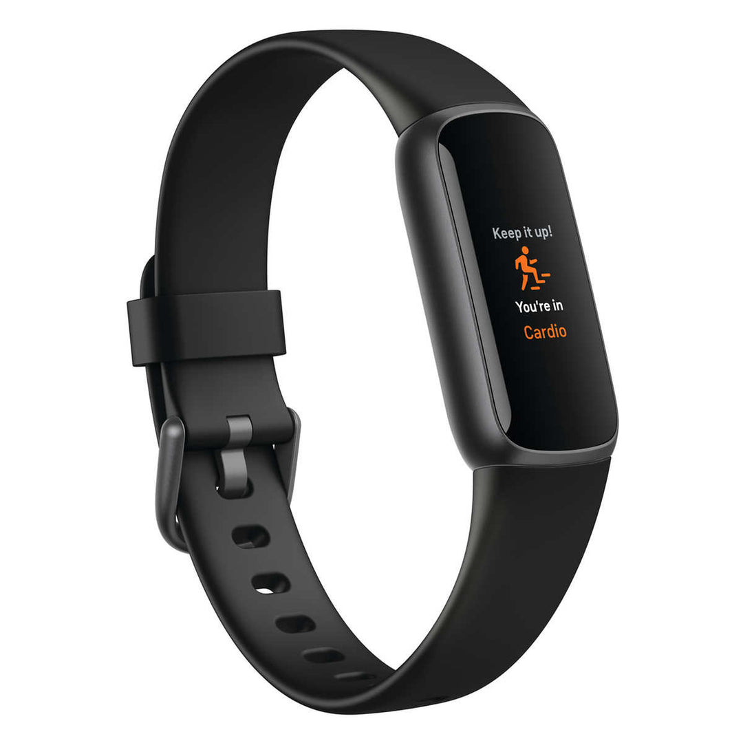 Fitbit - Luxury watch with two charging cables