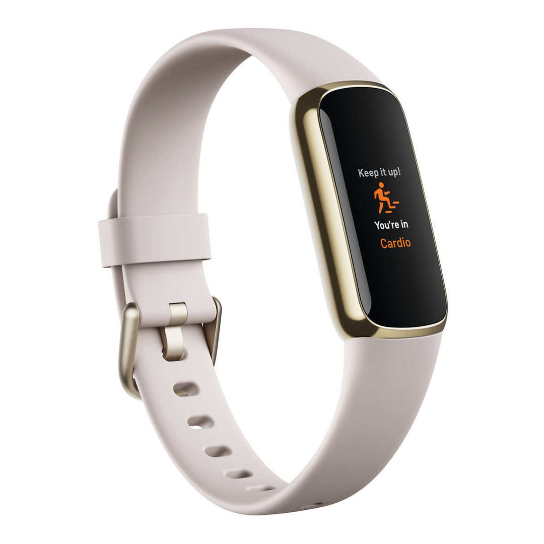 Fitbit - Luxury watch with two charging cables