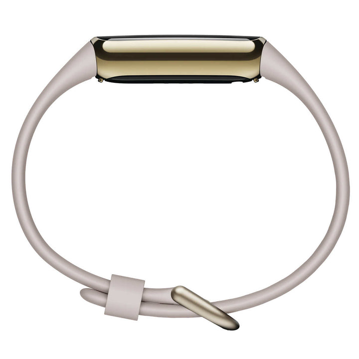 Fitbit - Luxury watch with two charging cables