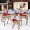 3-Piece LED Deer Family Set