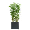CGH - Séparateur de pièce en bambou artificiel de 2,0 m (6,5 pi)
