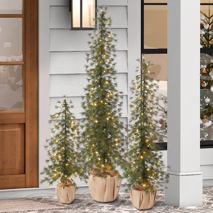 Set of 3 Alpine Holiday Trees with LED Lights