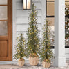 Set of 3 Alpine Holiday Trees with LED Lights