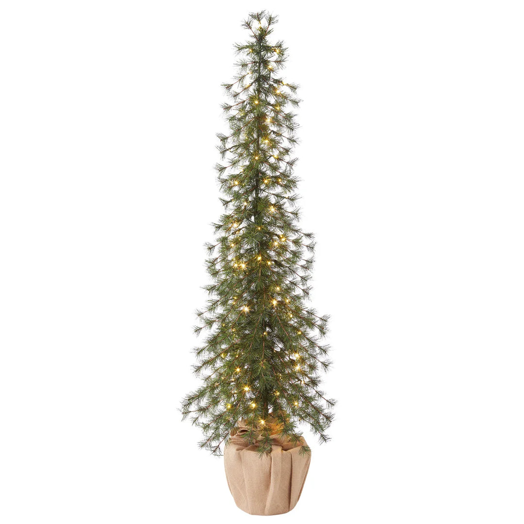 Set of 3 Alpine Holiday Trees with LED Lights