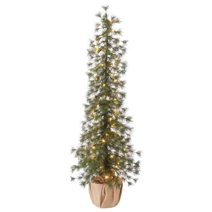 Set of 3 Alpine Holiday Trees with LED Lights
