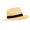 Solar Escape - Chapeau Fedora
