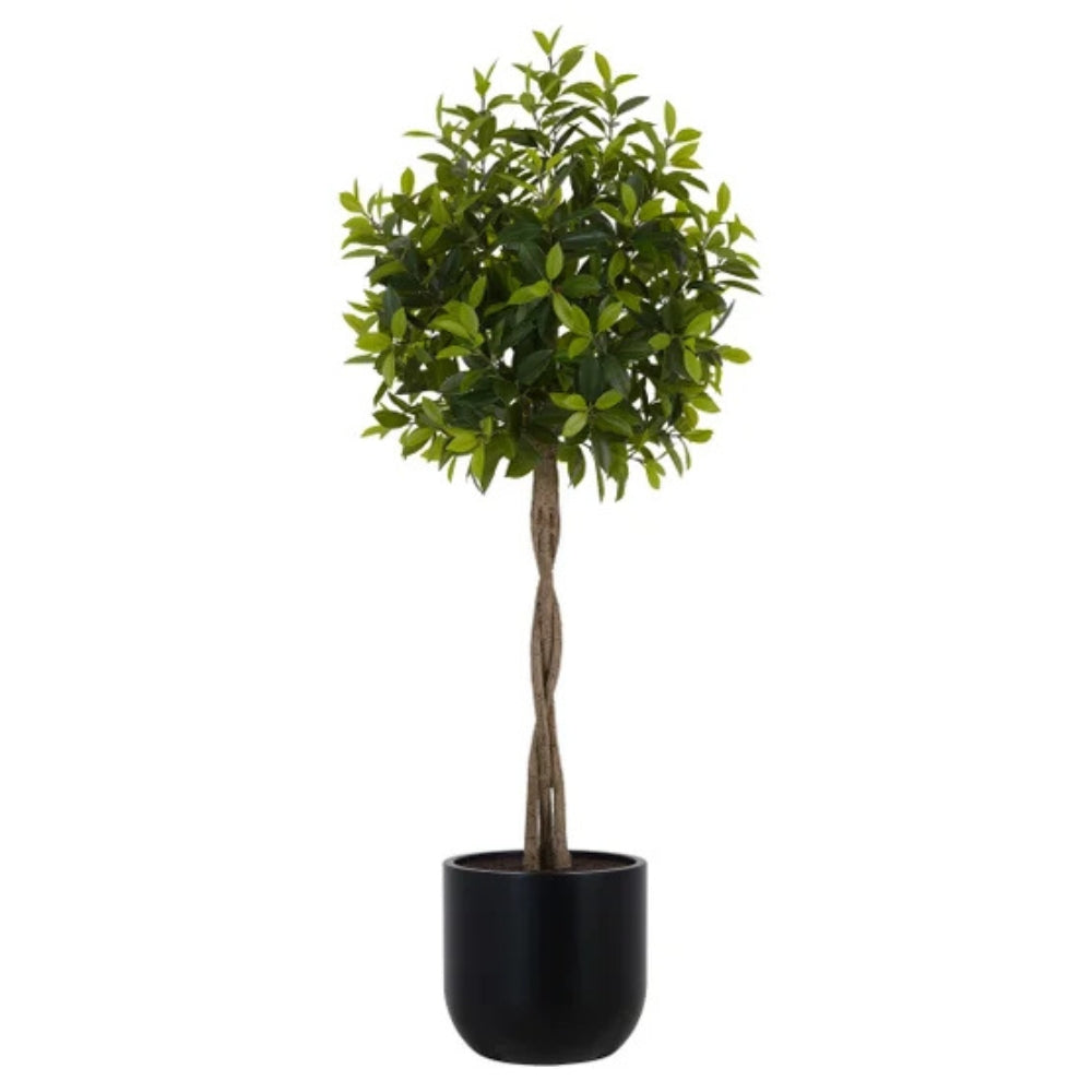 CGH - 2 m (6 ft) artificial Laurel tree