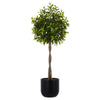 CGH - 2 m (6 ft) artificial Laurel tree