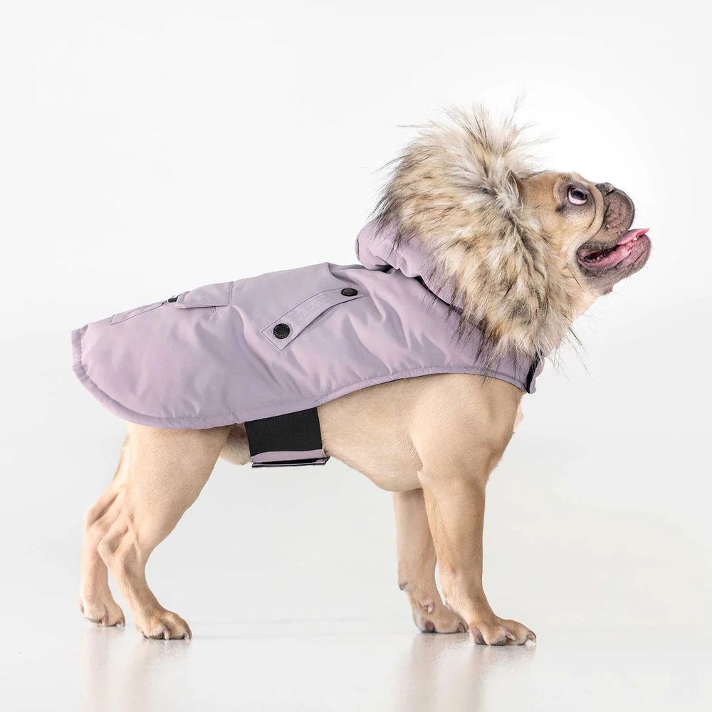 Noize - Karter - Manteau pour chien