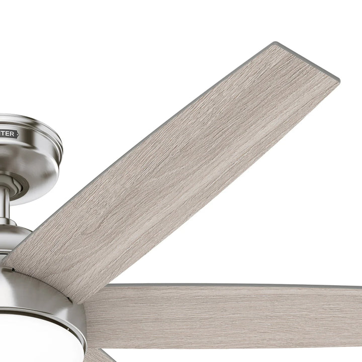 Hunter - 52" Anza Ceiling Fan
