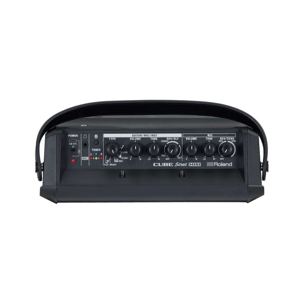 Roland - Rechargeable Multi-Instrument Amplifier Cube Street Mini
