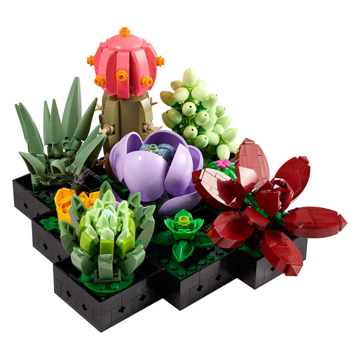 LEGO - Plantes succulentes décor végétal - 10309