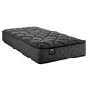 Sealy Mattress