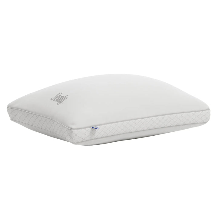 Sealy - Ensemble de 2 oreillers en duvet alternatif