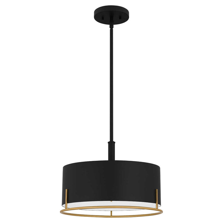 Ashley Harbor - LED Light Fixture