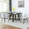 Palladium - Contemporary 5-Piece Dining Set
