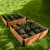 Vita - Ensemble de 2 lit de jardin Mezza 4 pi x 4 pi